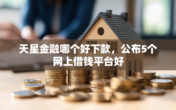 天星金融哪个好下款，公布5个网上借钱平台好