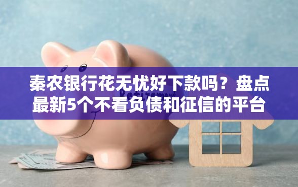 秦农银行花无忧好下款吗？盘点最新5个不看负债和征信的平台