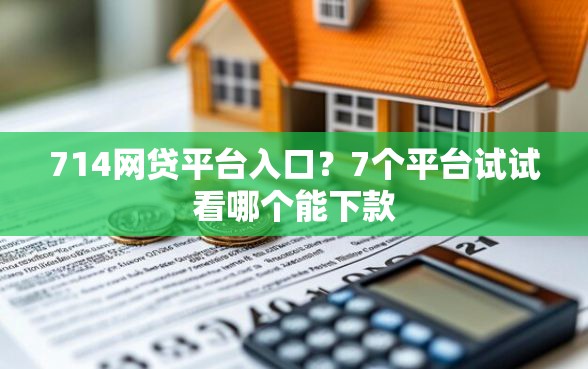 714网贷平台入口？7个平台试试看哪个能下款