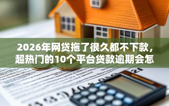 2026年网贷拖了很久都不下款，超热门的10个平台贷款逾期会怎么样推荐