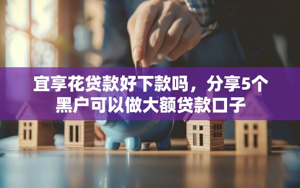 宜享花贷款好下款吗，分享5个黑户可以做大额贷款口子