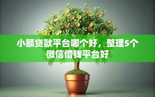 小额贷款平台哪个好，整理5个微信借钱平台好