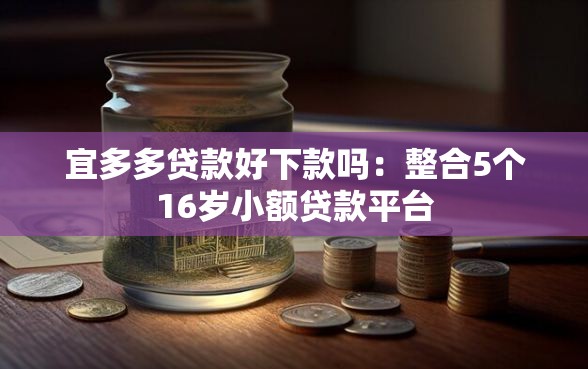 宜多多贷款好下款吗：整合5个16岁小额贷款平台
