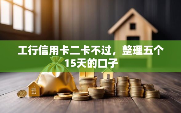 工行信用卡二卡不过，整理五个15天的口子