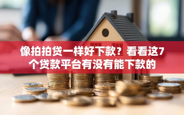 像拍拍贷一样好下款？看看这7个贷款平台有没有能下款的