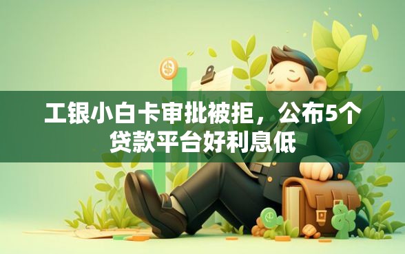 工银小白卡审批被拒，公布5个贷款平台好利息低