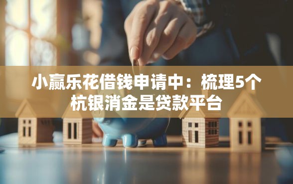 小赢乐花借钱申请中：梳理5个杭银消金是贷款平台