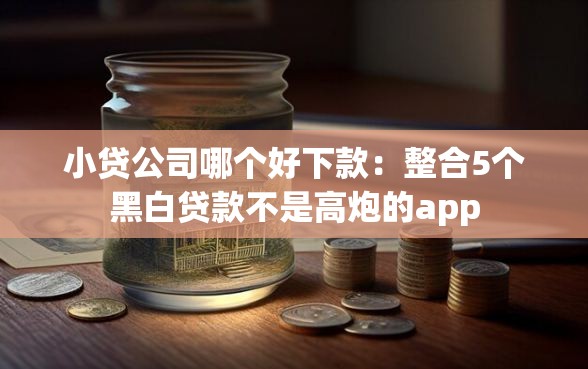 小贷公司哪个好下款：整合5个黑白贷款不是高炮的app
