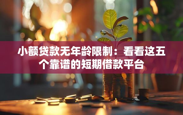 小额贷款无年龄限制：看看这五个靠谱的短期借款平台