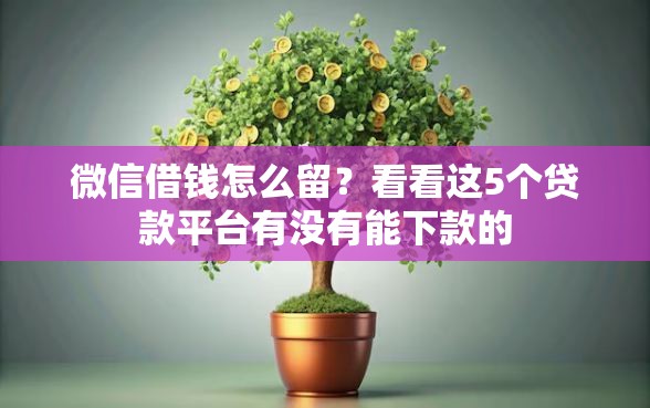 微信借钱怎么留？看看这5个贷款平台有没有能下款的