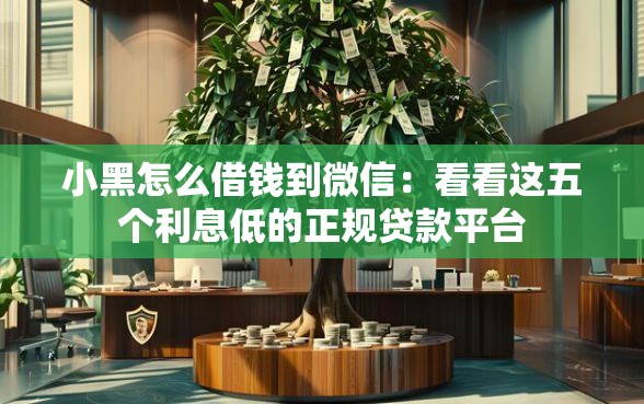 小黑怎么借钱到微信：看看这五个利息低的正规贷款平台