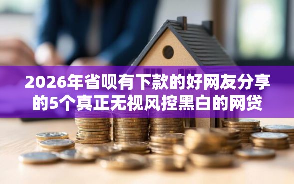 2026年省呗有下款的好网友分享的5个真正无视风控黑白的网贷平台我觉得不错！
