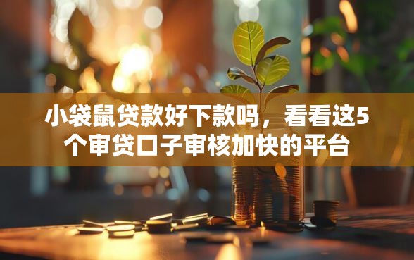 小袋鼠贷款好下款吗，看看这5个审贷口子审核加快的平台