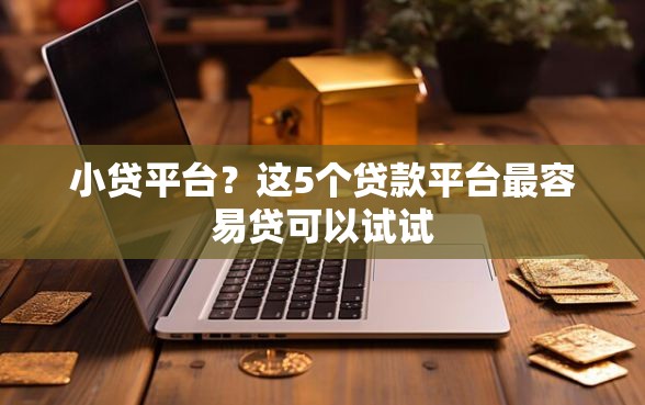 小贷平台？这5个贷款平台最容易贷可以试试