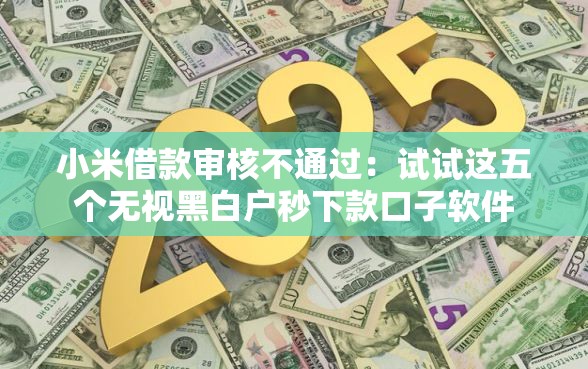 小米借款审核不通过：试试这五个无视黑白户秒下款口子软件