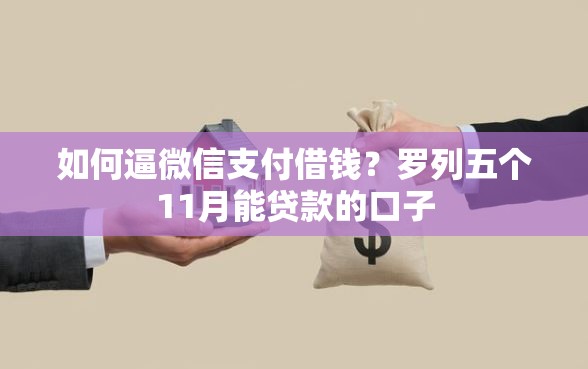 如何逼微信支付借钱？罗列五个11月能贷款的口子