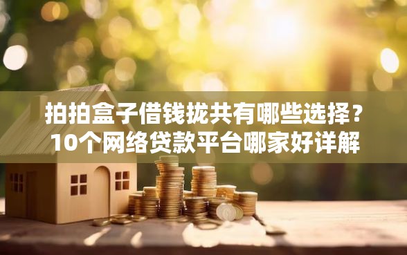 拍拍盒子借钱拢共有哪些选择？10个网络贷款平台哪家好详解