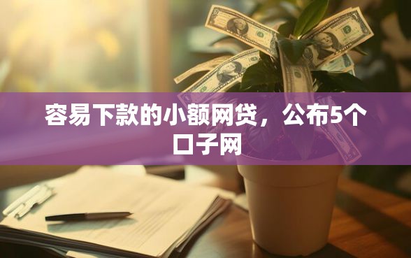 容易下款的小额网贷，公布5个口子网
