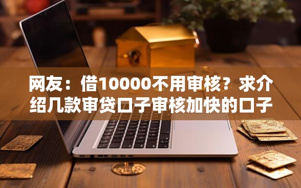 网友：借10000不用审核？求介绍几款审贷口子审核加快的口子