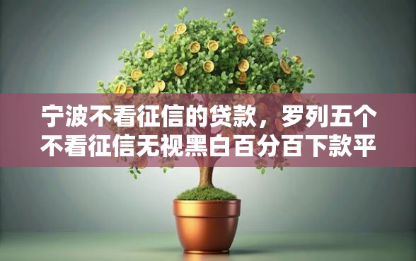 宁波不看征信的贷款，罗列五个不看征信无视黑白百分百下款平台
