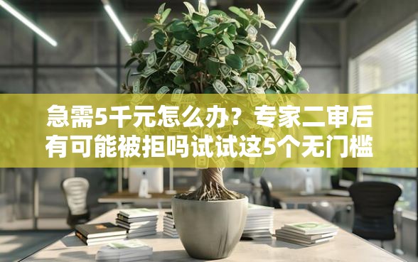 急需5千元怎么办？专家二审后有可能被拒吗试试这5个无门槛平台