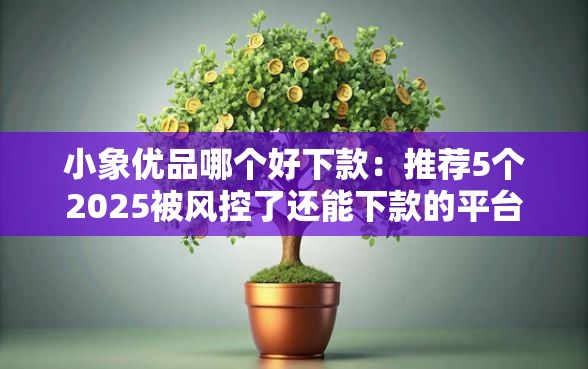 小象优品哪个好下款：推荐5个2025被风控了还能下款的平台