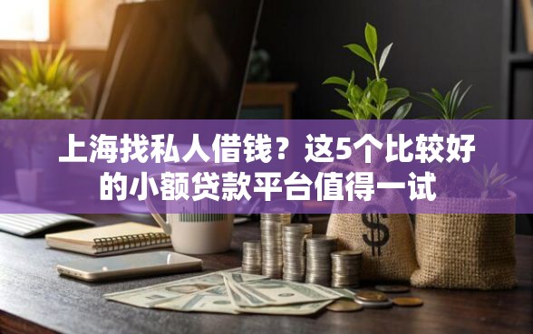 上海找私人借钱？这5个比较好的小额贷款平台值得一试
