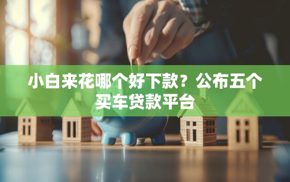 小白来花哪个好下款？公布五个买车贷款平台