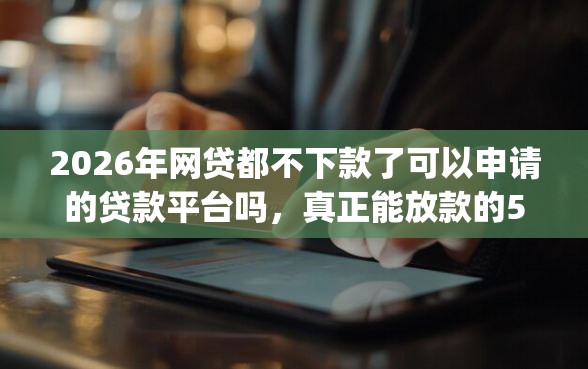 2026年网贷都不下款了可以申请的贷款平台吗，真正能放款的5个18岁必下款的网贷app推荐