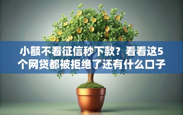 小额不看征信秒下款？看看这5个网贷都被拒绝了还有什么口子