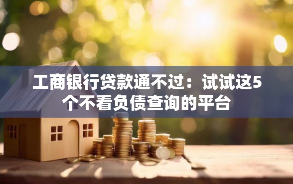工商银行贷款通不过：试试这5个不看负债查询的平台