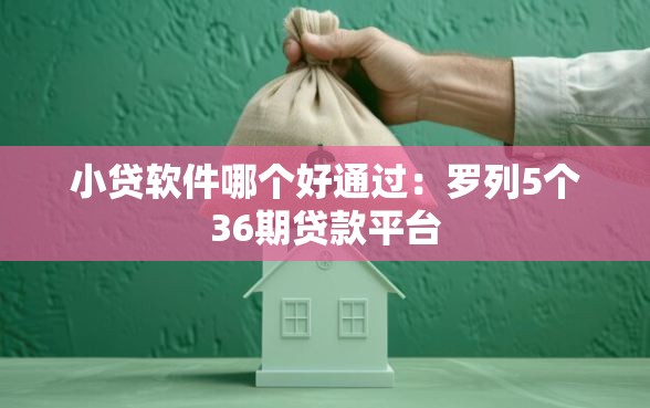 小贷软件哪个好通过：罗列5个36期贷款平台