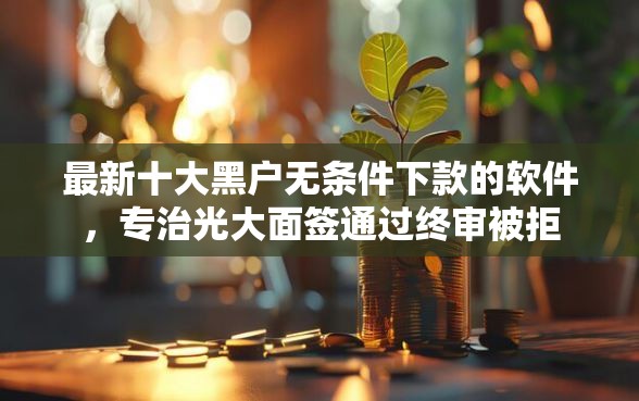 最新十大黑户无条件下款的软件，专治光大面签通过终审被拒