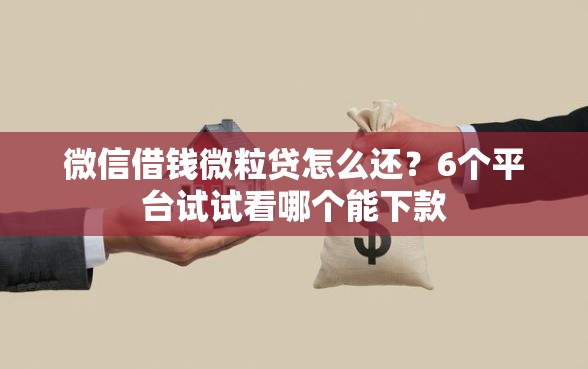 微信借钱微粒贷怎么还？6个平台试试看哪个能下款