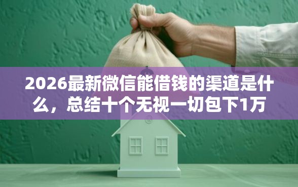 2026最新微信能借钱的渠道是什么，总结十个无视一切包下1万的贷款！