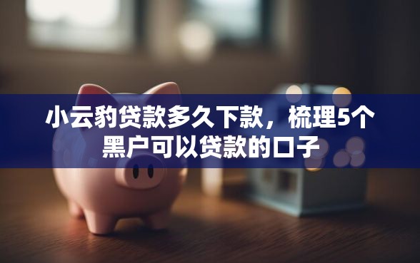 小云豹贷款多久下款，梳理5个黑户可以贷款的口子
