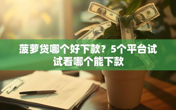 菠萝贷哪个好下款？5个平台试试看哪个能下款