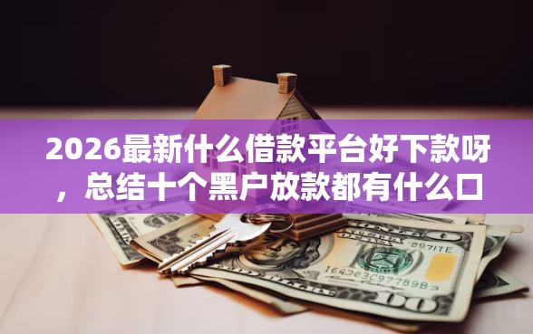 2026最新什么借款平台好下款呀，总结十个黑户放款都有什么口子！