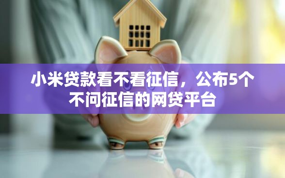 小米贷款看不看征信，公布5个不问征信的网贷平台