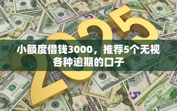 小额度借钱3000，推荐5个无视各种逾期的口子