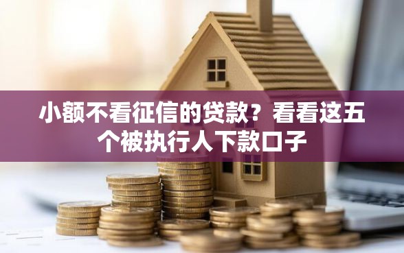 小额不看征信的贷款？看看这五个被执行人下款口子