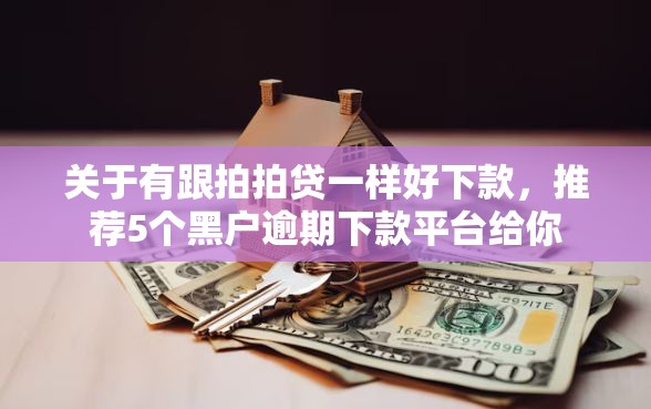 关于有跟拍拍贷一样好下款，推荐5个黑户逾期下款平台给你