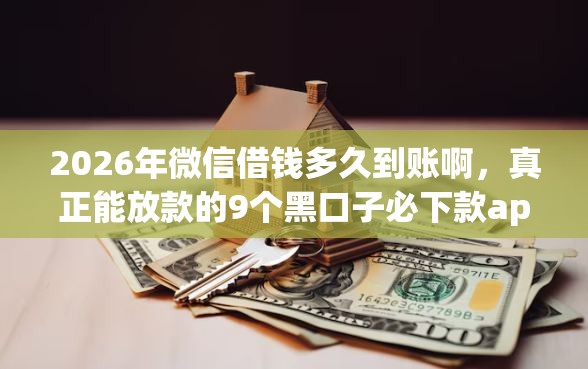 2026年微信借钱多久到账啊，真正能放款的9个黑口子必下款app2023推荐