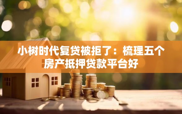 小树时代复贷被拒了：梳理五个房产抵押贷款平台好