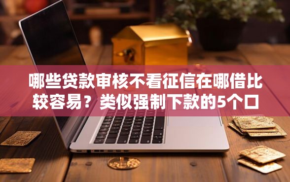 哪些贷款审核不看征信在哪借比较容易？类似强制下款的5个口子参考