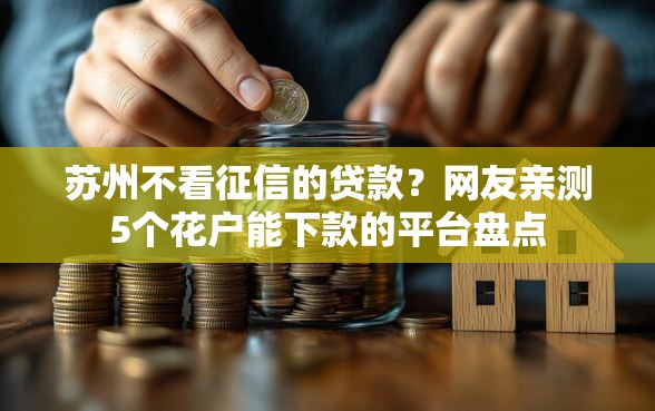 苏州不看征信的贷款？网友亲测5个花户能下款的平台盘点