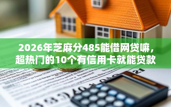 2026年芝麻分485能借网贷嘛，超热门的10个有信用卡就能贷款的平台推荐