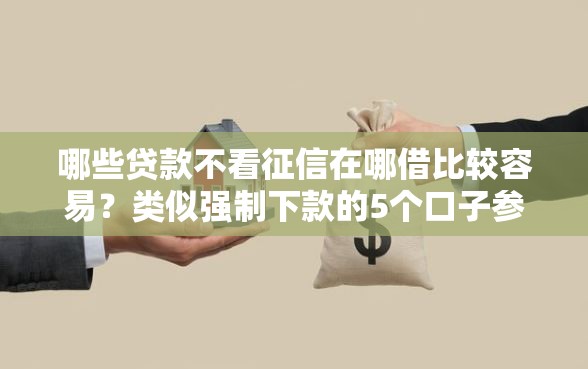 哪些贷款不看征信在哪借比较容易？类似强制下款的5个口子参考