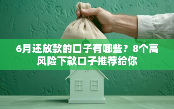6月还放款的口子有哪些？8个高风险下款口子推荐给你