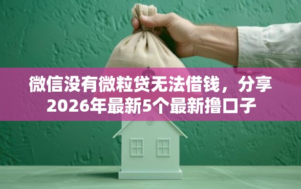 微信没有微粒贷无法借钱，分享2026年最新5个最新撸口子